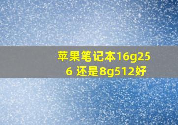 苹果笔记本16g256 还是8g512好